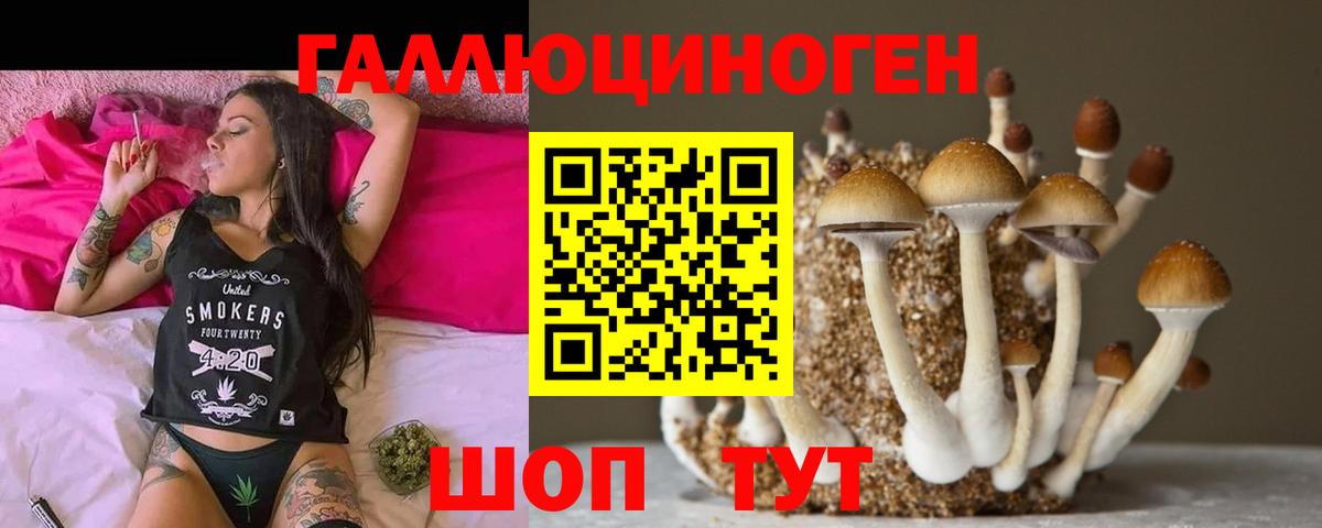 Галлюциногенные грибы Cubensis  Галлюциногенные грибы мухоморы  Вход с VPN  Бугуруслан 