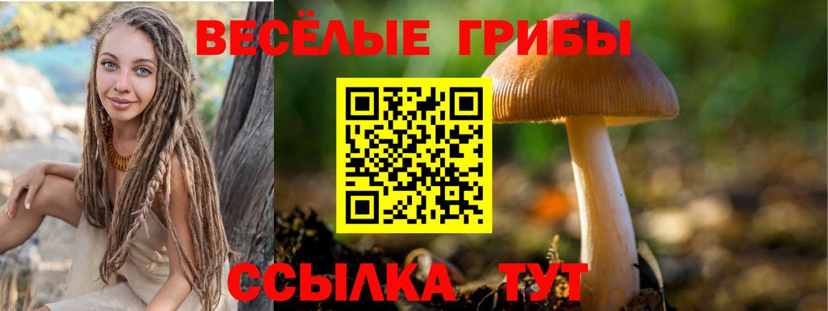 Псилоцибиновые грибы мицелий Бугуруслан